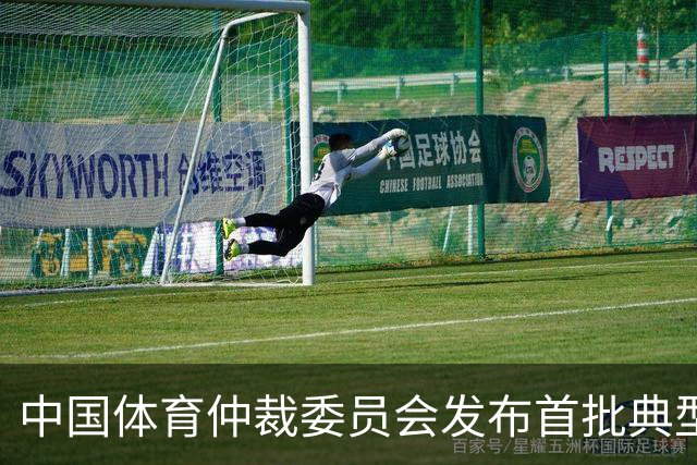 中国体育仲裁委员会发布首批典型案例