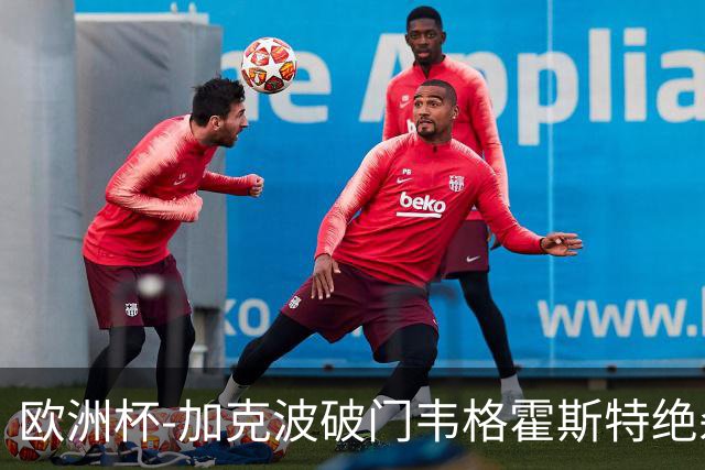 欧洲杯-加克波破门韦格霍斯特绝杀 荷兰2-1波兰